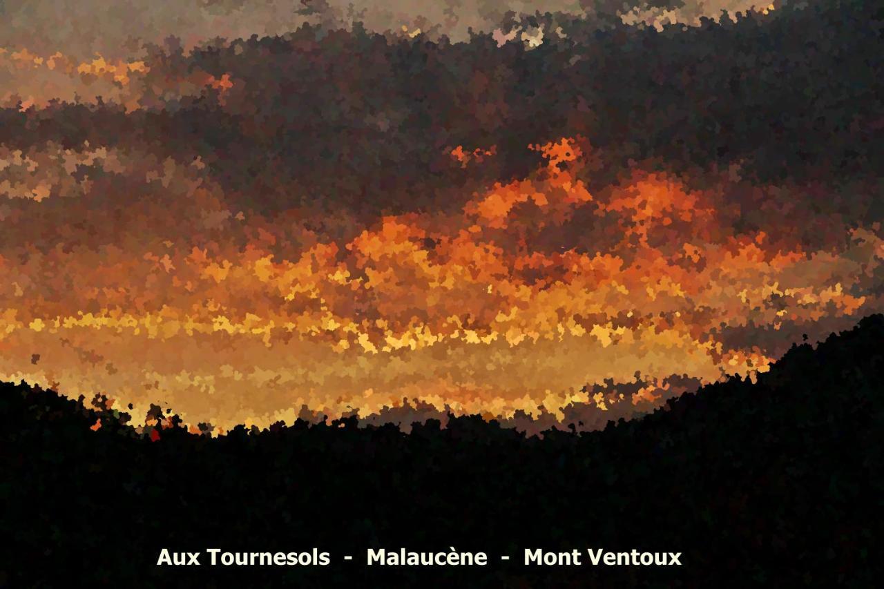 Aux Tournesols * Malaucène