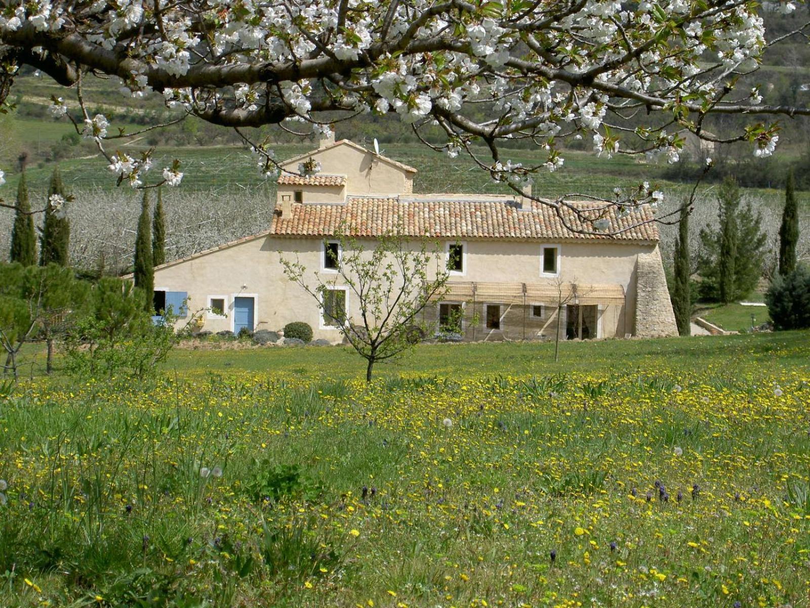 Aux Tournesols